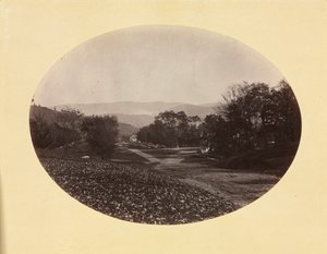 Una strada a Williamstown da George Kendall Warren