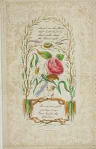 Dolci sono i fiori (valentino)