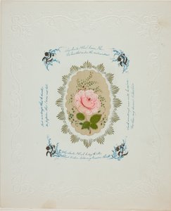Perché dovrei arrossire (valentino)