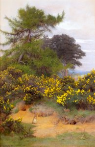 Sul bordo di Shere Heath da George Marks