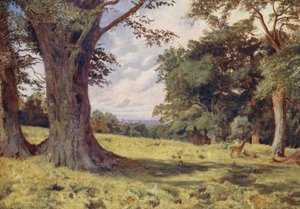Una radura nel Windsor Great Park da George Moore Henton