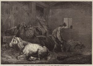 Cavalli in una stalla
