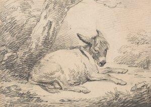 Studio di un Asino Sotto un Albero da George Morland