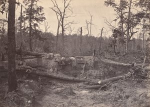 Campo di battaglia di New Hope Church, GA, No. 2, 1866 da George N. Barnard