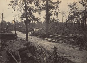 Campo di battaglia di New Hope Church, Georgia No. 1 da George N. Barnard