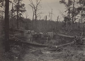 Campo di Battaglia di New Hope Church, Georgia No. 2, 1860s da George N. Barnard