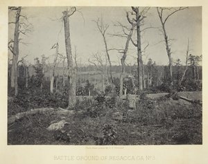 Campo di battaglia di Resacca, GA, No. 3, 1866 da George N. Barnard