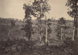 Campo di Battaglia di Resacca, Georgia No. 2, 1860 da George N. Barnard
