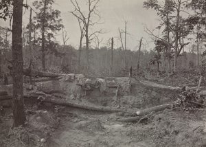Campo di battaglia di New Hope Church, Georgia, n. 2, 1865-1866 da George N. Barnard