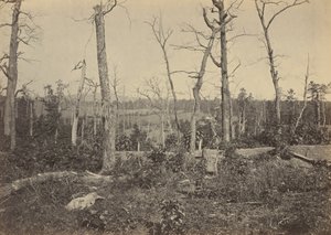 Campo di battaglia di Resaca, Georgia, n. 3.1864 (foto)