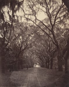 Cimitero di Bonaventure, quattro miglia da Savannah, 1866