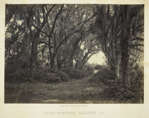 Buen-Ventura Savannah, Ga. da George N. Barnard