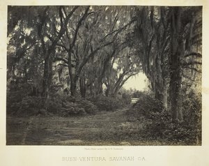 Buen-Ventura Savannah, Ga., 1866 da George N. Barnard