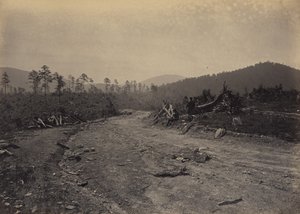 Buzzard Roost, Georgia da George N. Barnard