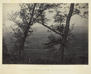 Il pomello del frutteto da Mission Ridge