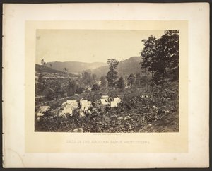 Passo nella catena dei procioni, Whiteside n. 2 da George N. Barnard