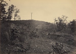 Montagna dei pini da George N. Barnard