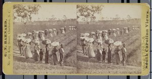 Ritorno dai campi di cotone in South Carolina da George N. Barnard
