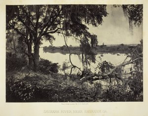 Fiume Savannah, vicino a Savannah, GA