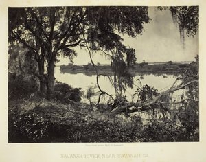 Fiume Savannah, vicino a Savannah, GA