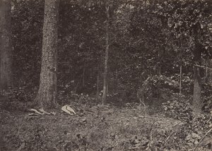 Scena della morte del generale McPherson, 1864 o 1866 da George N. Barnard