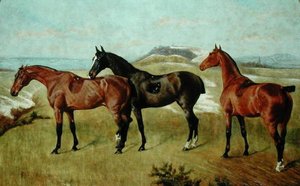 Tre cavalli: Whissendine, Swallow e Tiptop da George Paice