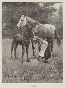 Nel trifoglio