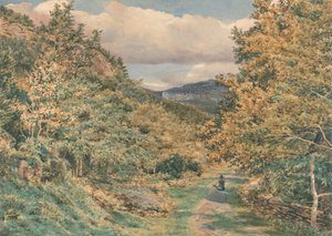 Una strada vicino a Bettws-y-Coed