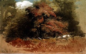 Knole Park