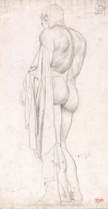 Vista posteriore di una figura maschile classica in piedi