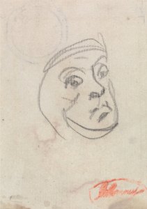 Testa