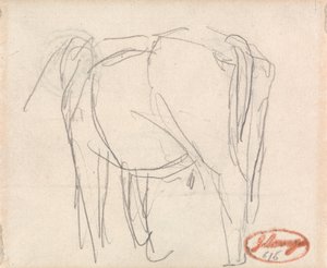 Studio di un animale