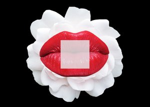 Vita di Segreti e Fantasie