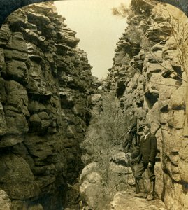 Wonderland Avenue, o la Strada Silenziosa, Grampians, Victoria, Australia, 1908 da George Rose