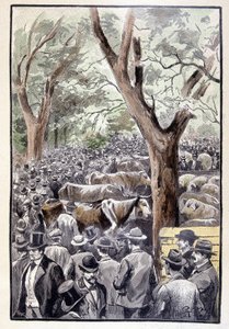 La folla stava già affollando il luogo della competizione (pagina 259) in "Testamento di un eccentrico" di Jules Verne da George Roux