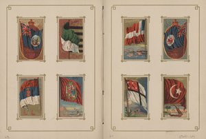 Bandiere di tutte le nazioni e degli Stati Uniti d