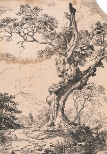 Uomo e grande albero nel paesaggio