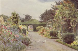 Rose Cinesi e Lavanda, Palmerstown