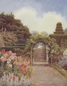 Crathes, Phlox