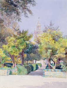 Nel giardino dell