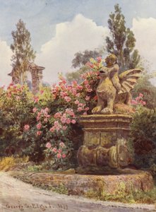 Giardini italiani: Rose cinesi, Villa Imperiali da George Samuel Elgood