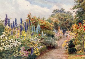 Allodole (litografia a colori)