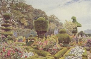 Levens, Rose e Garofani da George Samuel Elgood