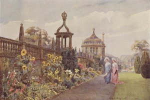 Montacute, Girasoli