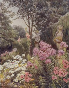 Phlox e Margherita da George Samuel Elgood