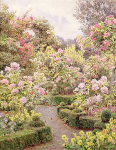 Raundscliffe - Ovunque sono rose da George Samuel Elgood