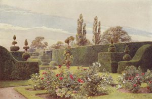 Il Giardino delle Rose, Arley da George Samuel Elgood