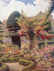 Il roseto di Levens Hall, Westmoreland (litografia a colori)
