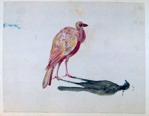 Uccello da George Sand
