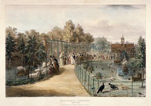 Giardini zoologici, Regent